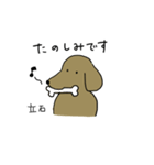 立石さんスタンプ 丁寧な犬（個別スタンプ：37）
