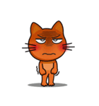 Beware of Meow Meow Cat（個別スタンプ：23）