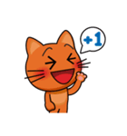 Beware of Meow Meow Cat（個別スタンプ：24）