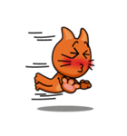 Beware of Meow Meow Cat（個別スタンプ：36）