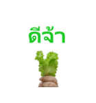 Let's Get Veg！（個別スタンプ：1）