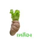 Let's Get Veg！（個別スタンプ：6）