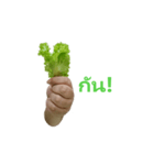 Let's Get Veg！（個別スタンプ：25）