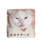 いるすけの気持ち。（個別スタンプ：5）