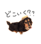 俺、男だぜ（個別スタンプ：4）