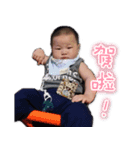 Chai Customization-ChingChing（個別スタンプ：8）