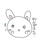 しろたまウサギ（個別スタンプ：19）