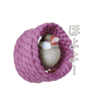 ホヨヨ文鳥（個別スタンプ：11）