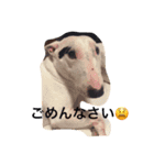 海老蔵すたんぷ①（個別スタンプ：8）
