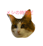 むぎこさんスタンプ（個別スタンプ：1）
