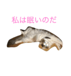 むぎこさんスタンプ（個別スタンプ：2）