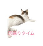 むぎこさんスタンプ（個別スタンプ：7）