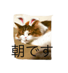 むぎこさんスタンプ（個別スタンプ：9）
