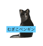 むぎこさんスタンプ（個別スタンプ：15）