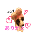 ハッピーライフ（個別スタンプ：18）