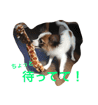 ハッピーライフ（個別スタンプ：21）