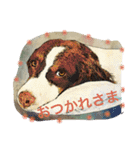 ブリタニースパニエル ごあいさつ❷（個別スタンプ：10）