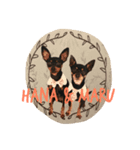 はな＆まるstamp（個別スタンプ：8）