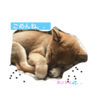 胡麻柴つくし げんげん元気②（個別スタンプ：15）