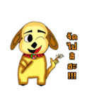 Dog Knows（個別スタンプ：8）