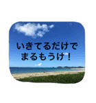 空からあなたへ（個別スタンプ：6）