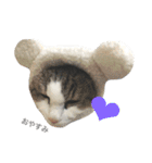 なかよしぺっとちゃんず（個別スタンプ：3）