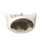 なかよしぺっとちゃんず（個別スタンプ：10）