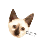 なかよしぺっとちゃんず（個別スタンプ：17）