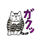 猫のKabamaru ～ほのぼの毎日～（個別スタンプ：22）