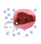 茶トラのにゃらん（個別スタンプ：8）