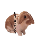 マシュ＆ゆみお（個別スタンプ：6）