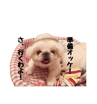 マシュ＆ゆみお（個別スタンプ：14）