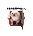マシュ＆ゆみお（個別スタンプ：24）
