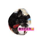 ゆずママスタンプ（個別スタンプ：12）