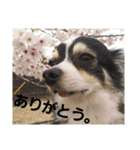 いっつぁん倶楽部（個別スタンプ：21）