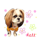 大好きわんこケルとトト（個別スタンプ：1）