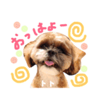 大好きわんこケルとトト（個別スタンプ：23）