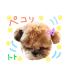 大好きわんこケルとトト（個別スタンプ：29）