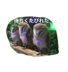 動物さん達大集合だわいわい（個別スタンプ：8）