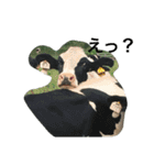 動物さん達大集合だわいわい（個別スタンプ：18）