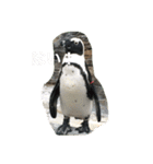 動物さん達大集合だわいわい（個別スタンプ：23）