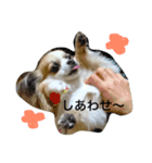 はうるん（個別スタンプ：16）