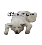 梅さんとラッキーくん（個別スタンプ：7）