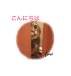 猫のお友達1（個別スタンプ：2）