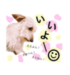 スーとメーだよ❤︎（個別スタンプ：12）