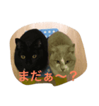 我が家のおチビ達（個別スタンプ：4）