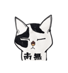 妙齢猫あさりさん、コミカルスタンプ（個別スタンプ：26）