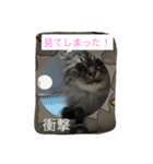 るれなんず〜うちのねこ〜（個別スタンプ：9）