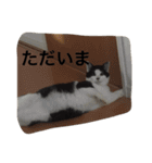 資さんスタンプ②（個別スタンプ：15）