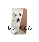 資さんスタンプ②（個別スタンプ：19）